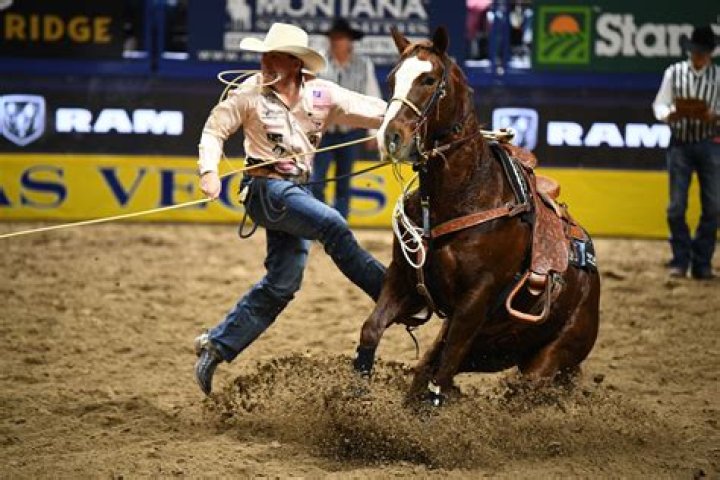 Bass Webb Age, Birthday, Wikipedia, Who, Nationality, Biography