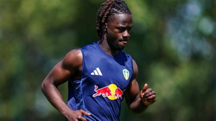 
Darko Gyabi Height, Weight, Net Worth, Age, Birthday, Wikipedia, Who, Nationality, Biography 