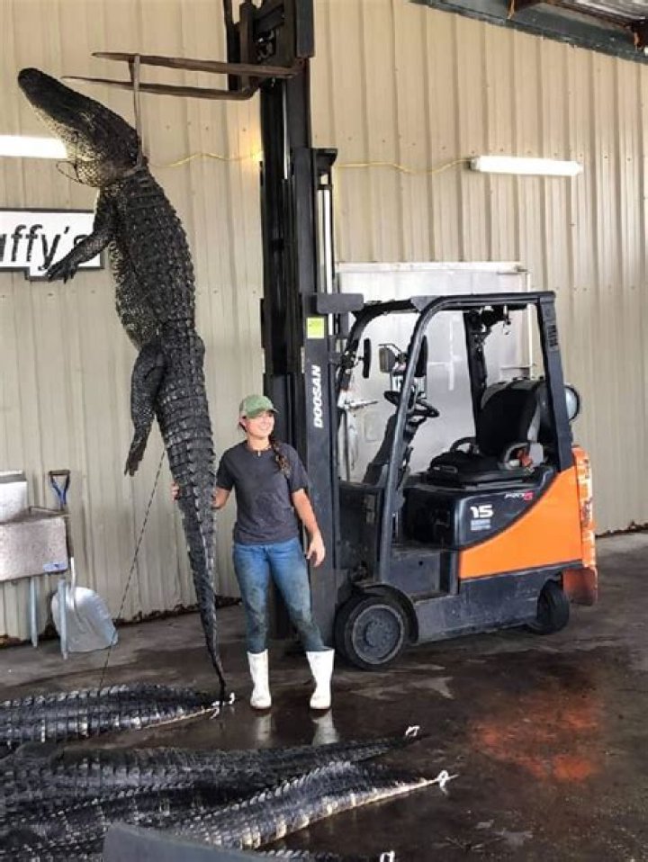 
Eva Grados Height, Weight, Net Worth, Age, Birthday, Wikipedia, Who, Nationality, Biography 