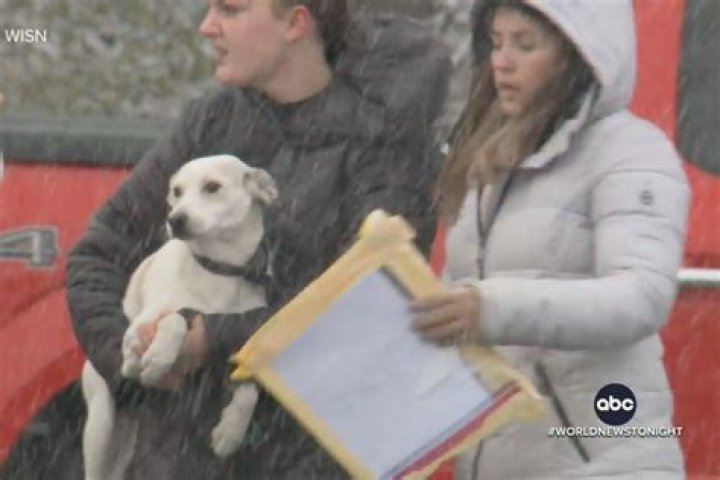 
First Responders Adopt Dogs They Rescued from Plane Crash in Wisconsin: ‘Fell Out of the Sky’ 