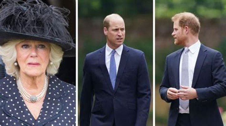 
Prince William, Harry ‘barely tolerate’ Camilla Queen Consort 