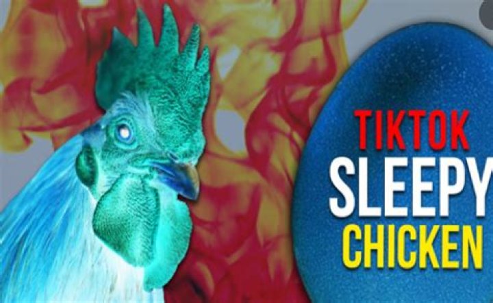 
TikTok’s Sleepy Chicken Trend Is Giving Social Media Users Major Pause 
