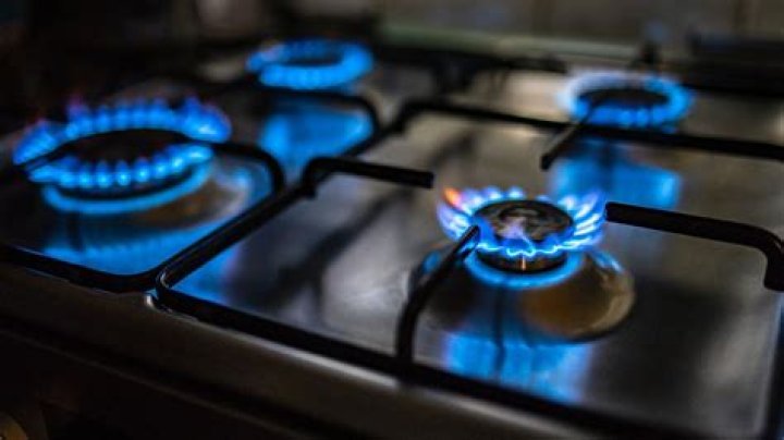 
What is wrong with Gas stoves? Hazards explored as debate rages online 